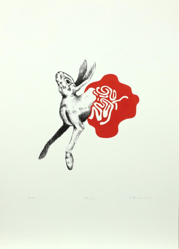 Obrázek díla Zajíc od Nikola Salfická