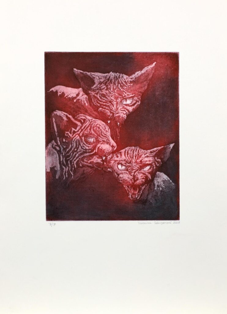 Obrázek díla bez názvu od Veronika Selingerová