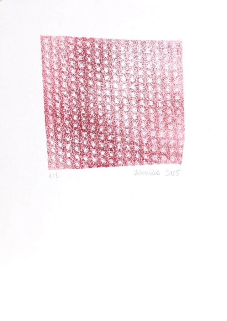 Obrázek díla bn od Štěpán Schneider