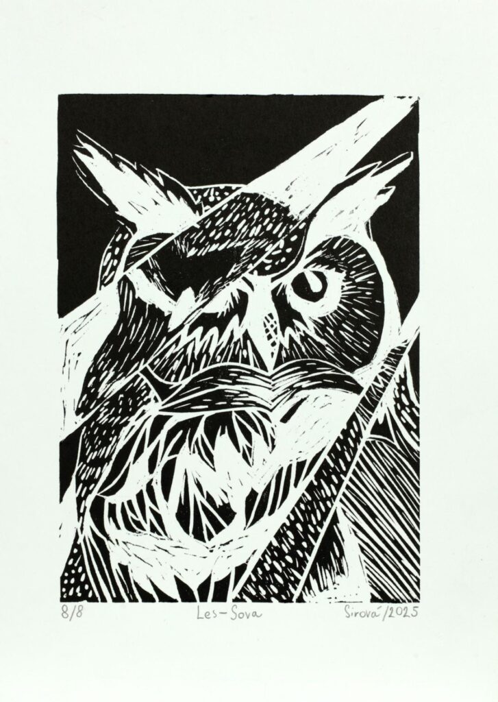 Obrázek díla Les - sova od Eliška Sirová
