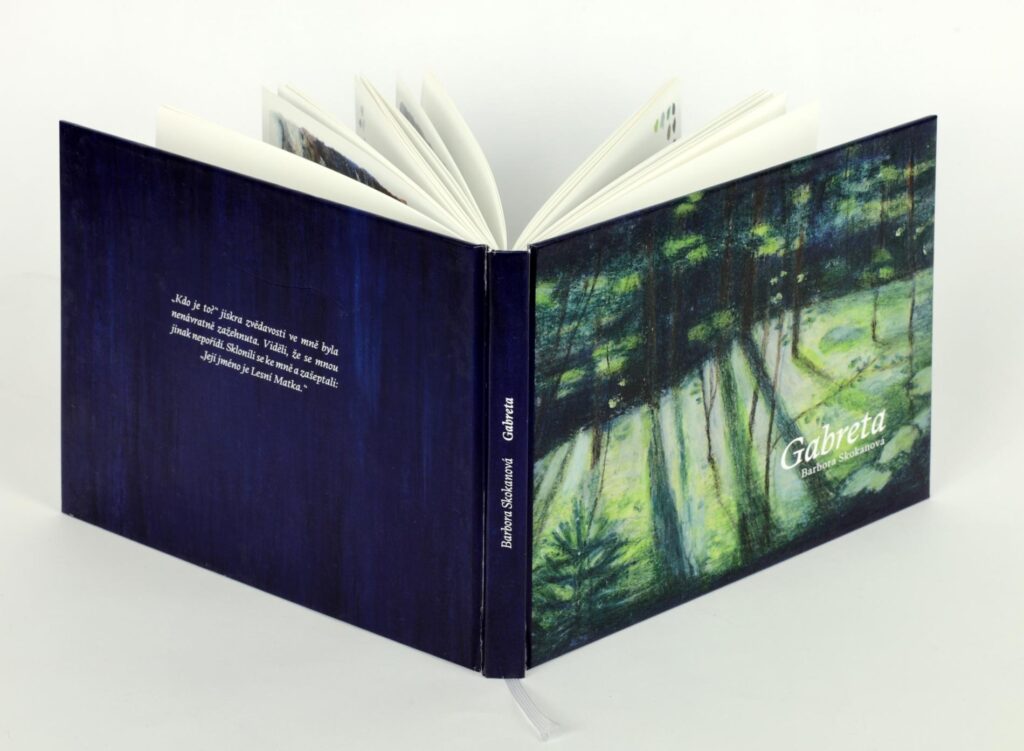 Obrázek díla Gabreta od Barbora Skokanová