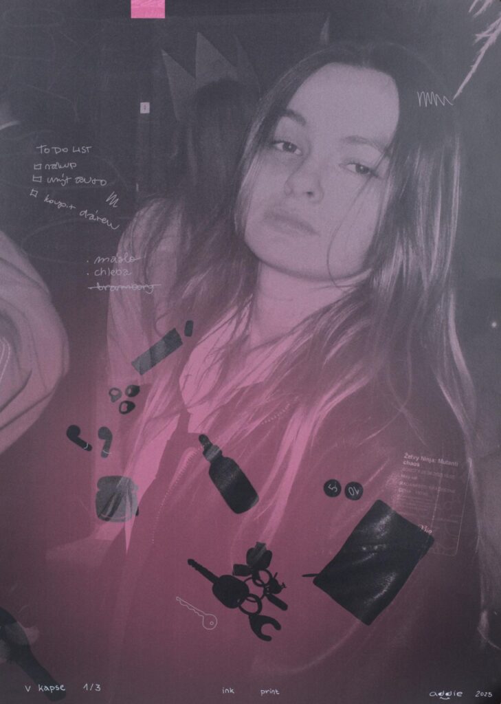 Obrázek díla v kapse od Adéla Smetáková