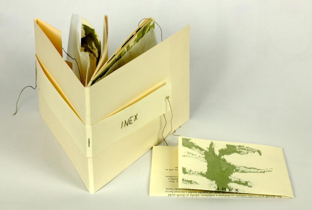 Obrázek díla INEX od Eliška Smetanová