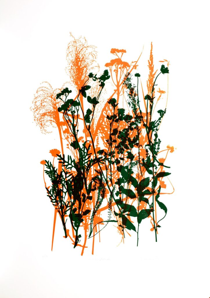 Obrázek díla Biotopy - Les - Zahrada, diptych od Tereza Smetanová