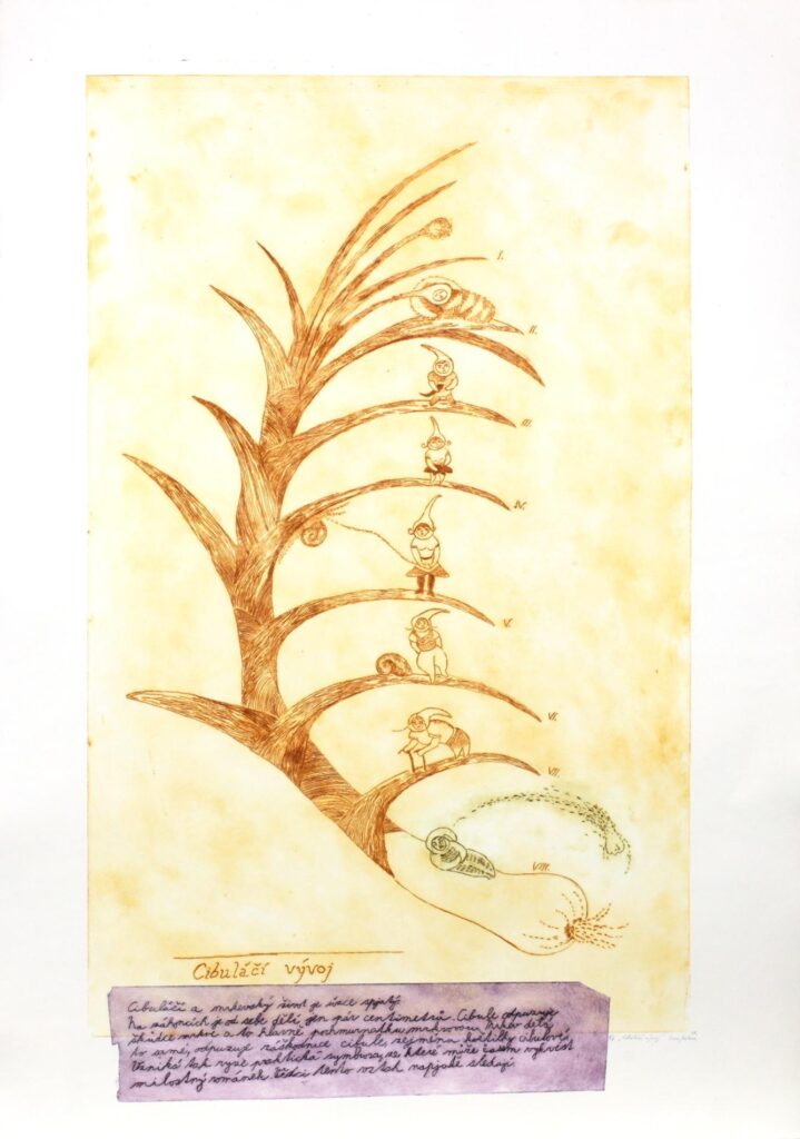 Obrázek díla Cibuláčí vývoj od Klára Smeykalová