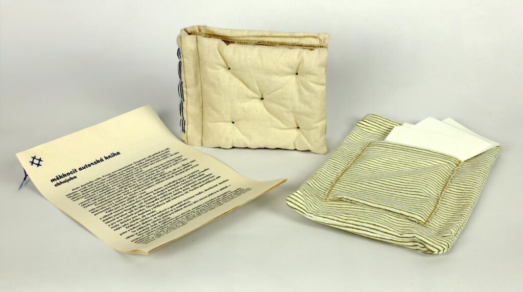 Obrázek díla Měkkocit od Karolína Spiesová