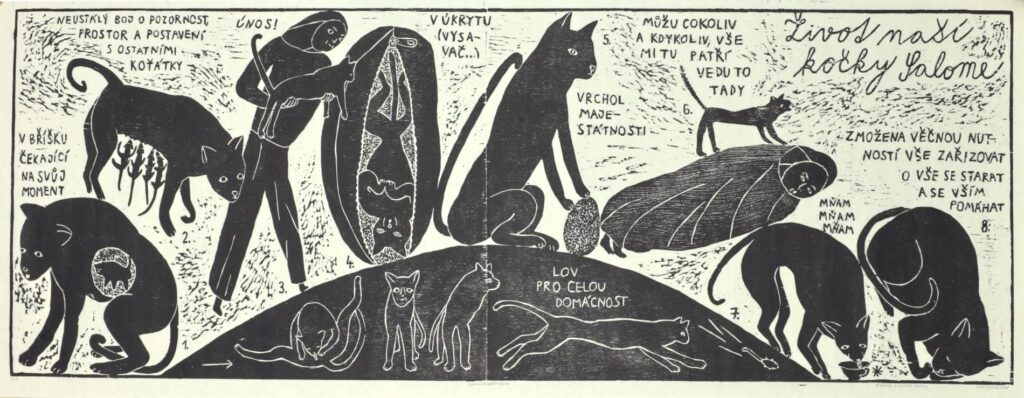 Obrázek díla Život naší kočky Salome od Finn Stiller