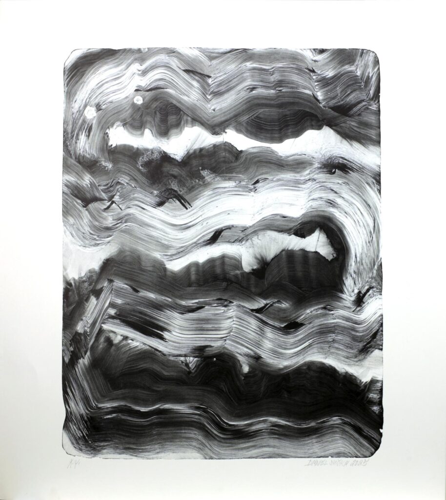 Obrázek díla bn od Daniel Suška