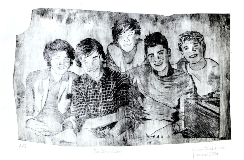 Obrázek díla One Direction Boys od Alena Šimánková