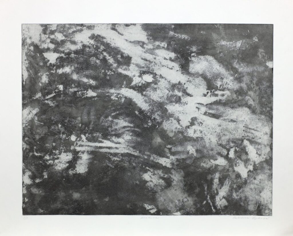 Obrázek díla Hladina od Kateřina Šípková