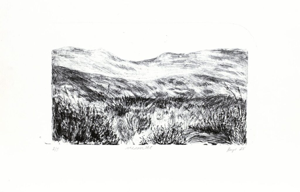 Obrázek díla Vřesoviště od Hana Brys´