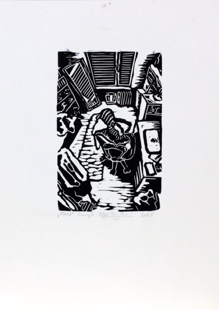 Obrázek díla Pokoj od Anežka Šrejberová