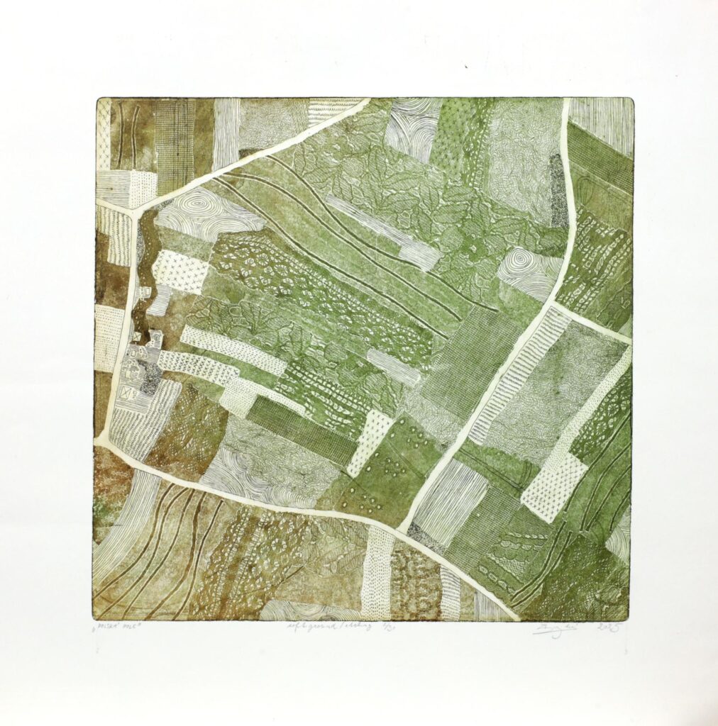 Obrázek díla Polská pole od Anežka Šrejberová