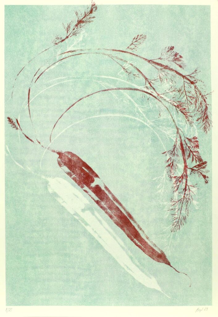 Obrázek díla bn od Hana Brys´