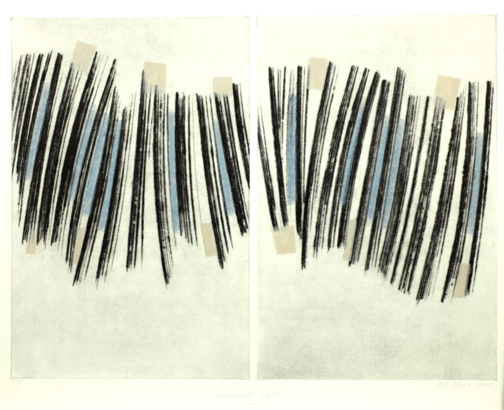 Obrázek díla Varhanní tanec (Preludia) od Petr Štěpán