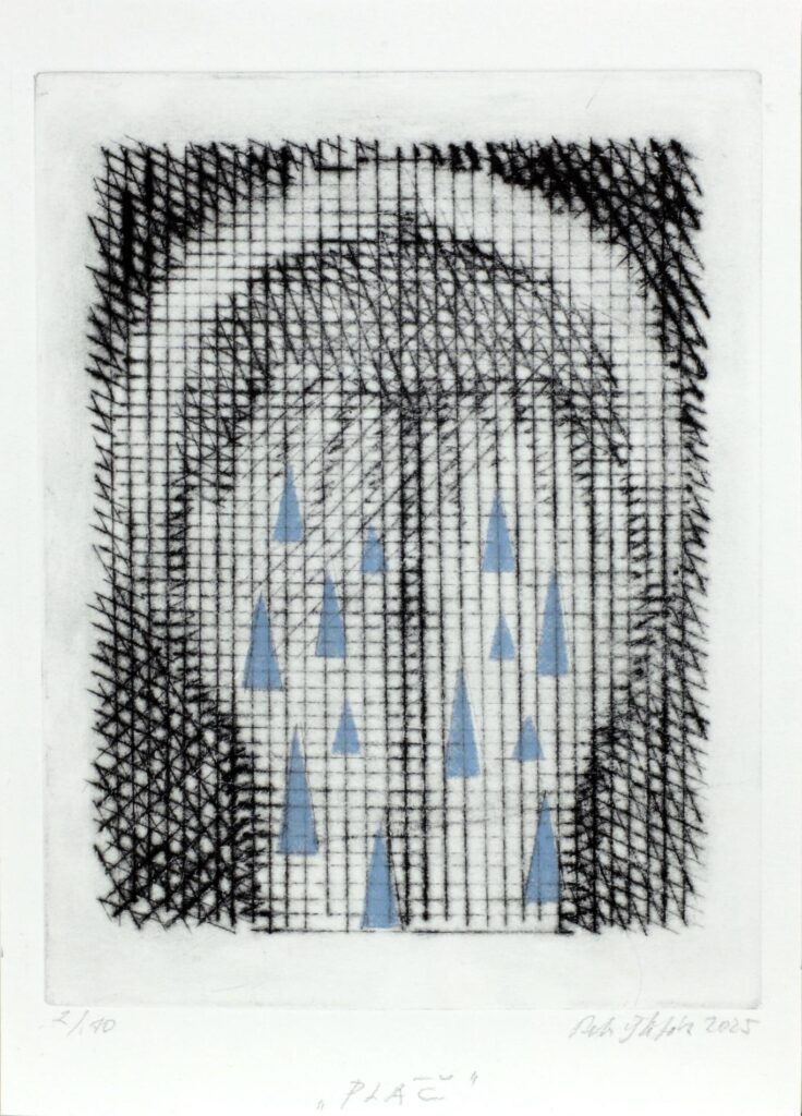 Obrázek díla Pláč od Petr Štěpán