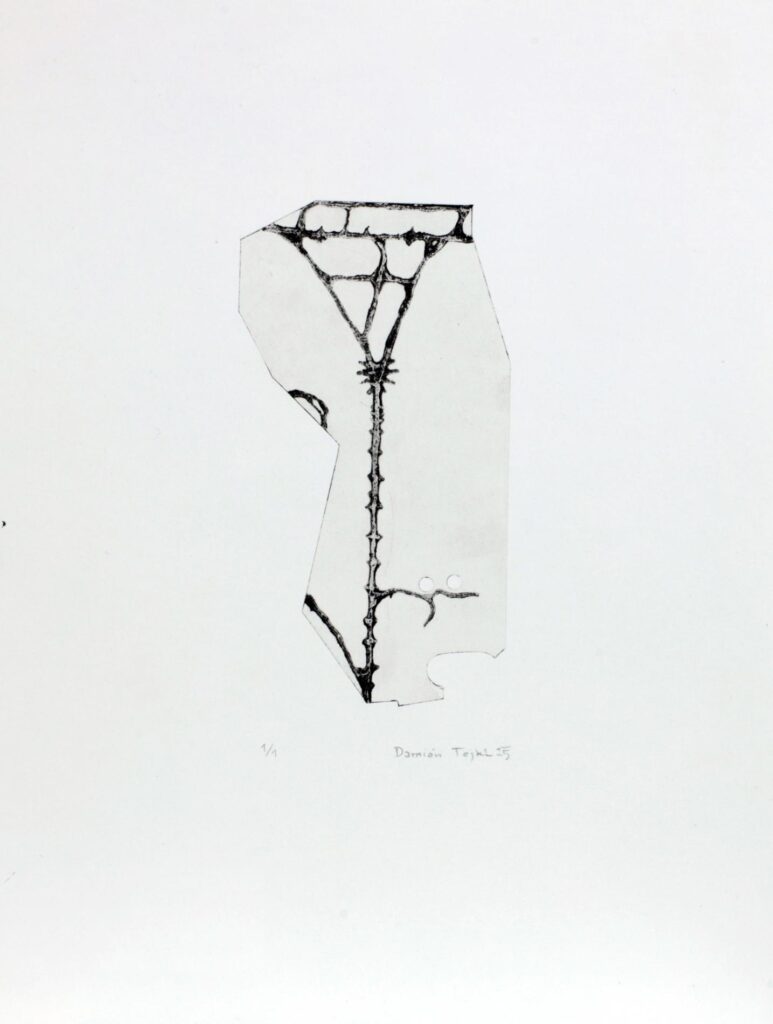 Obrázek díla bn od Damián Tejkl