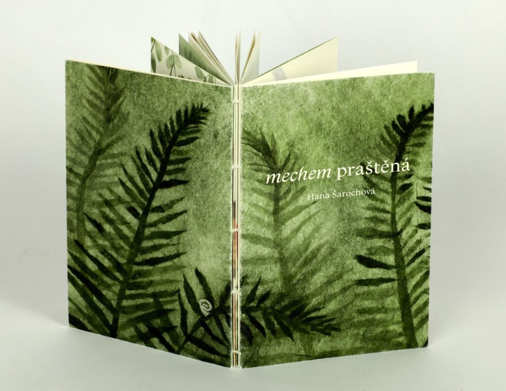 Obrázek díla Mechem praštěná od Hana Brys´