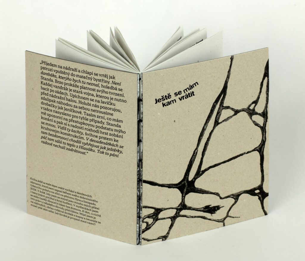 Obrázek díla Ještě se mám kam vrátit od Damián Tejkl