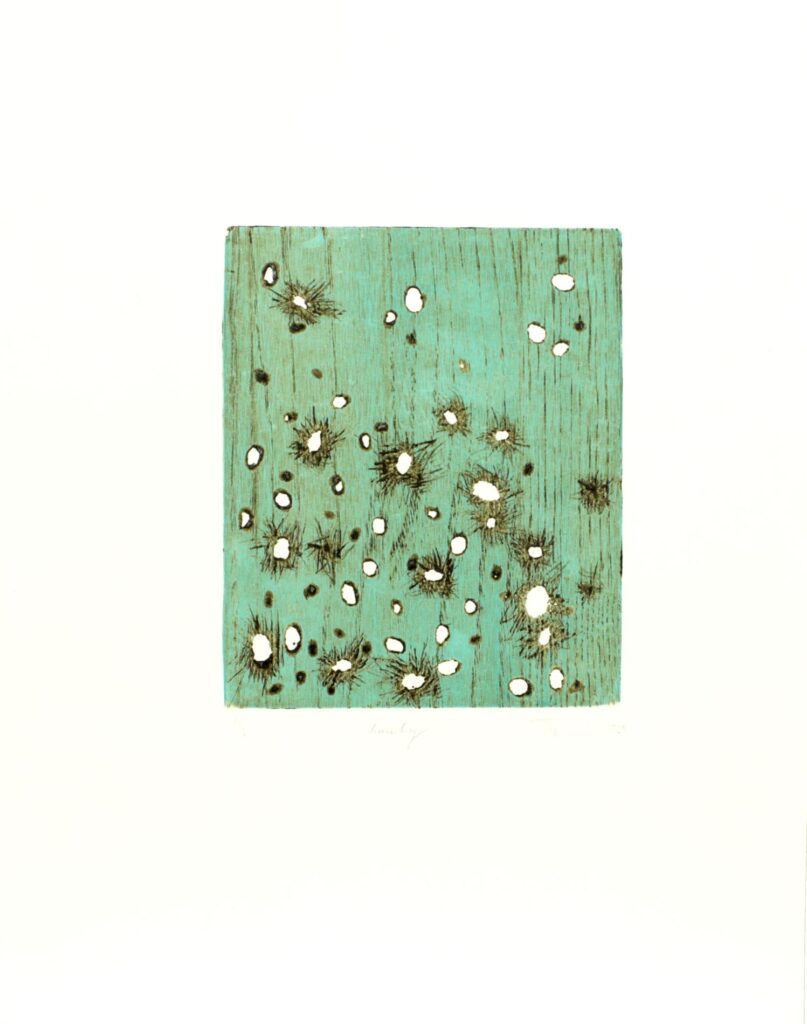 Obrázek díla Houby od Hana Tomaníková