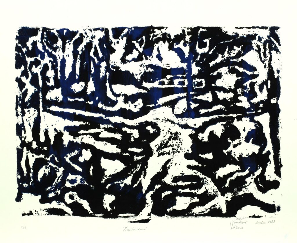 Obrázek díla Zastavení od Viktorie Tomášová