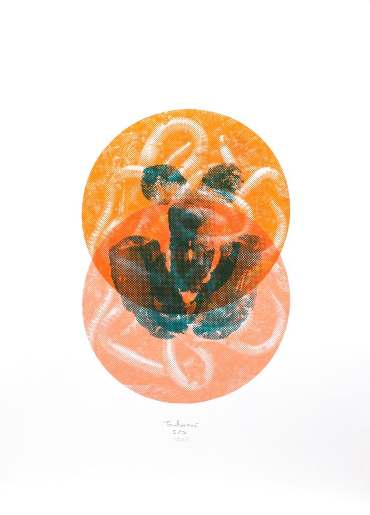 Obrázek díla Komodifikace intimity vol. 2 od Karolína Toufarová