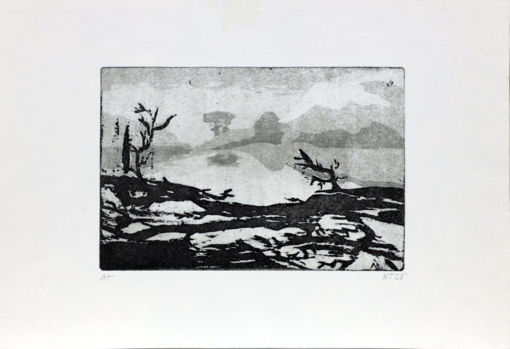 Obrázek díla Mlha od Lenka Toušková