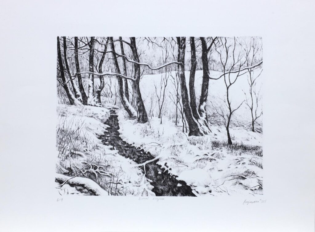 Obrázek díla Zimní krajina od Nikola Trojanová