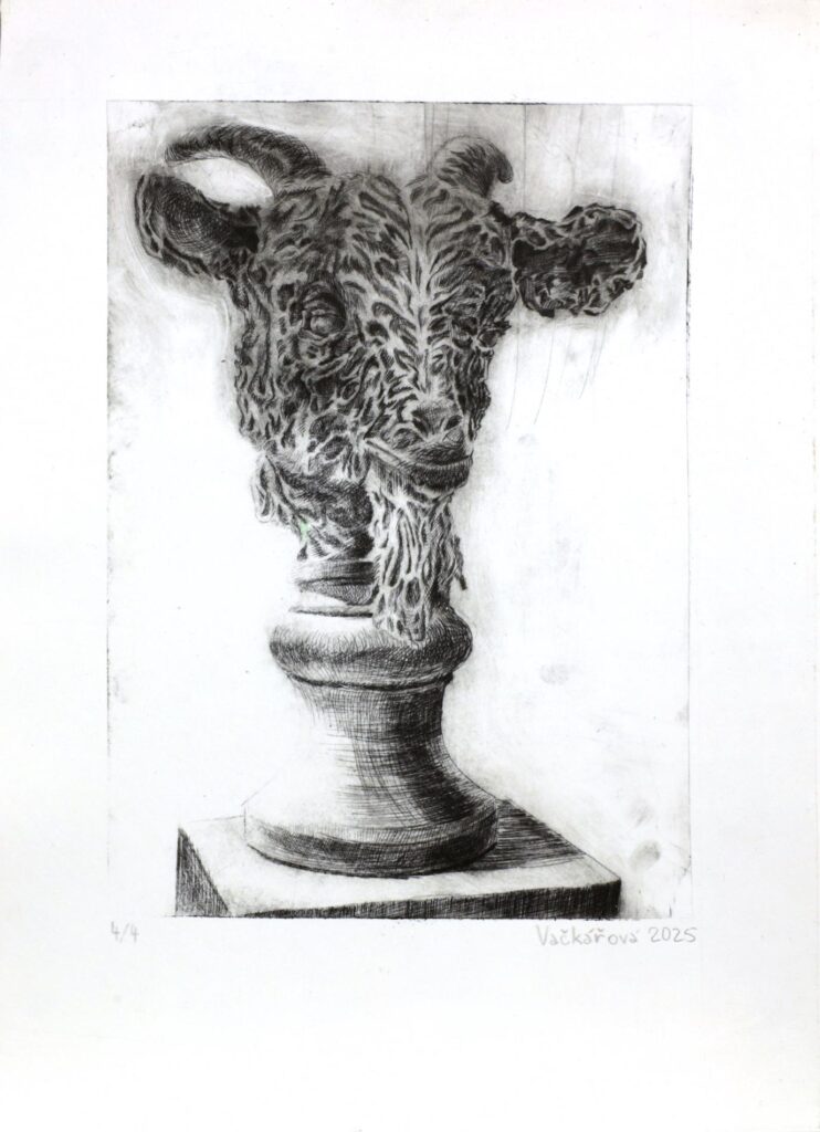 Obrázek díla Busta kozla od Johanka Vačkářová