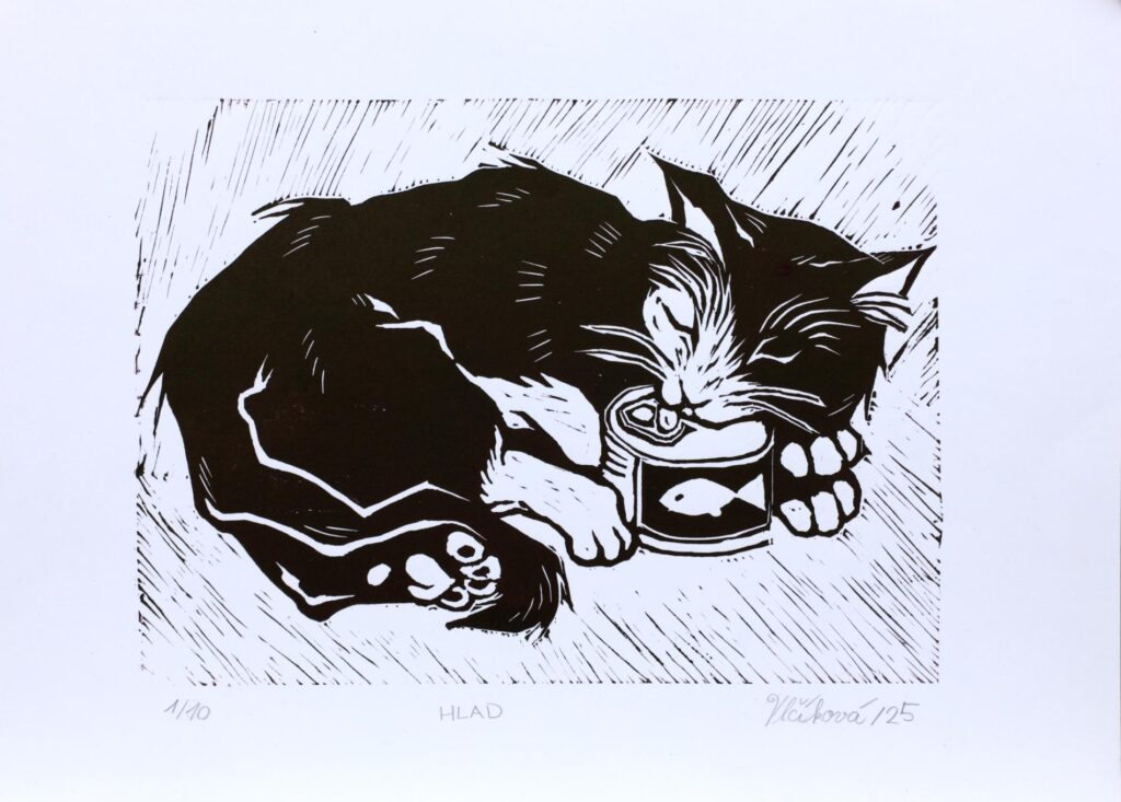 Obrázek díla Hlad od Nikola Vlčíková