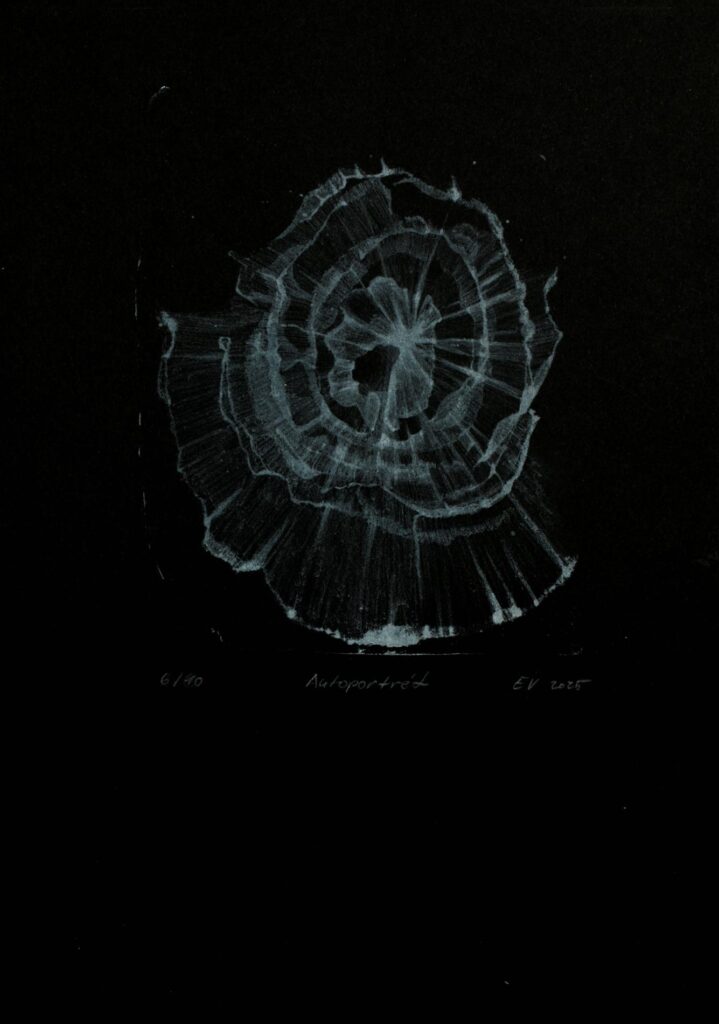 Obrázek díla autoportrét od Eliška Volfová