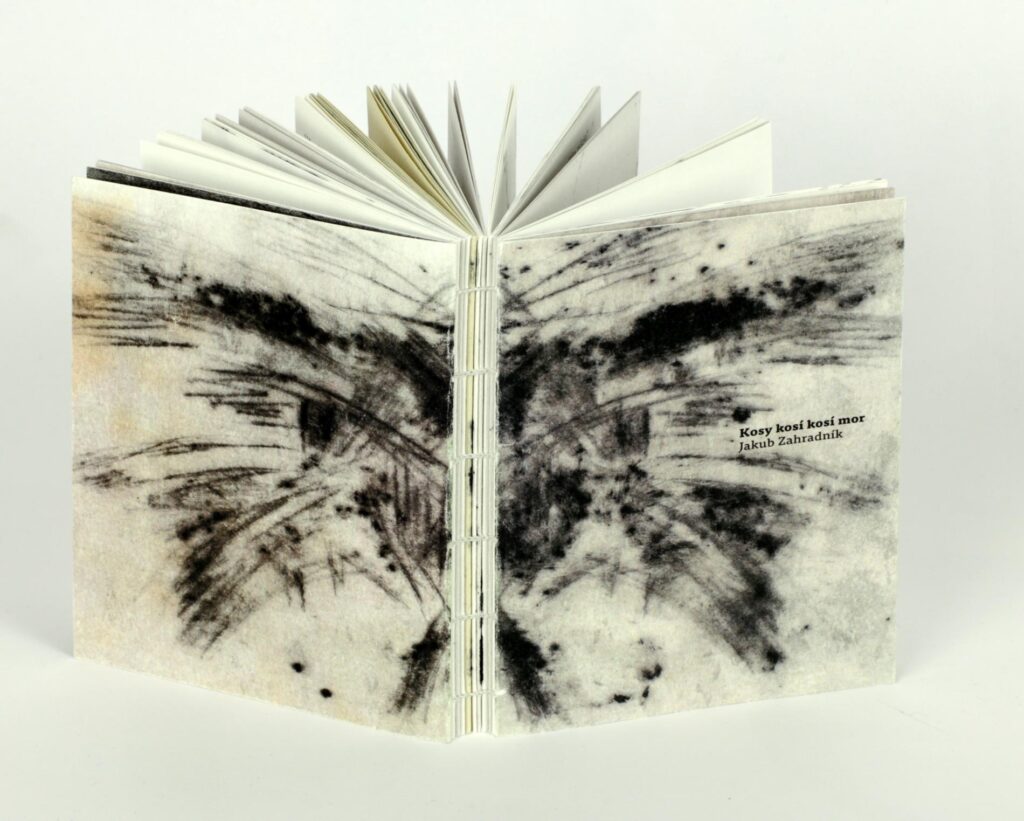 Obrázek díla Kosy kosí kosí mor od Veronika Lehečková