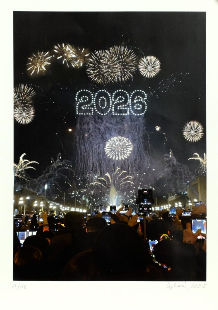 Obrázek díla Nepozornost od Karolína Čejková