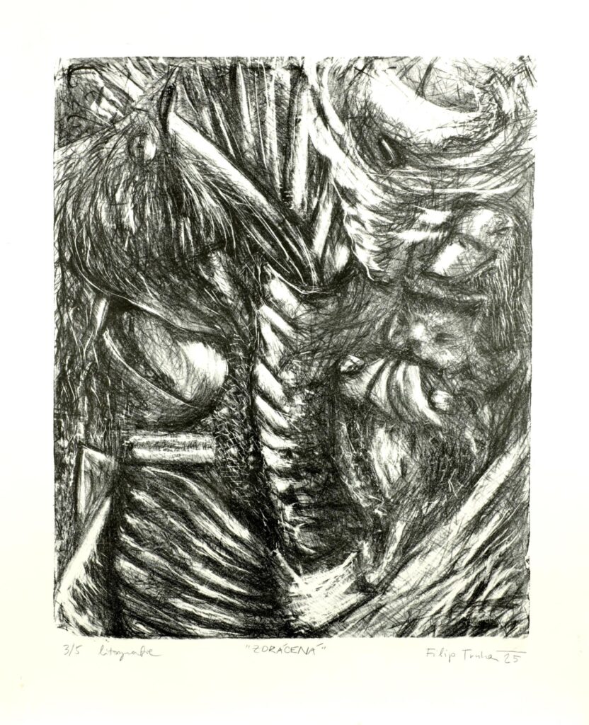 Obrázek díla Zdrácená od Filip Trnka