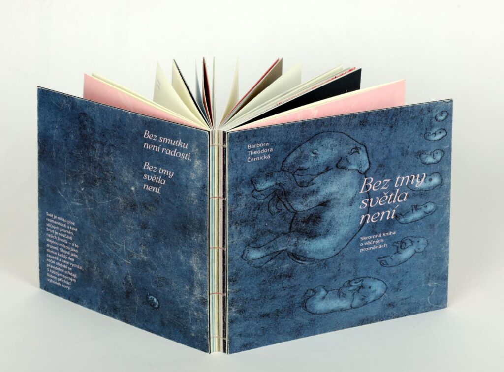 Obrázek díla Bez tmy světla není od Barbara Theodora Černická