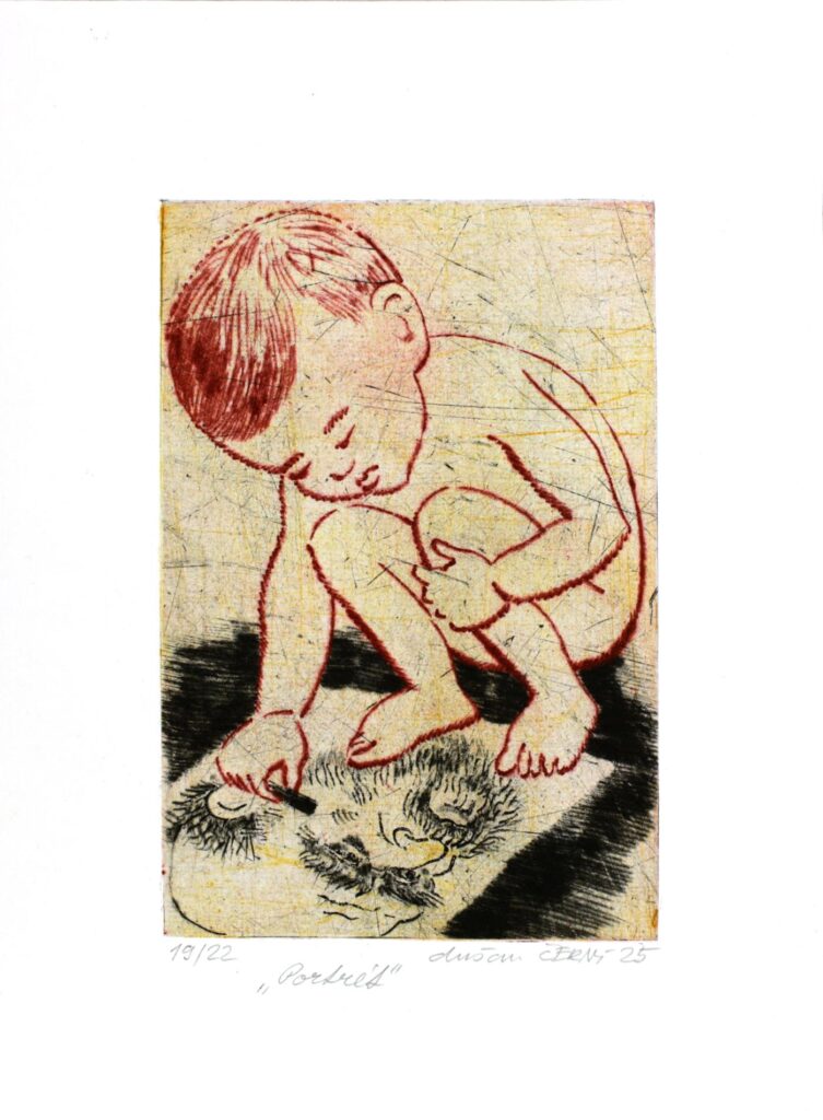 Obrázek díla Portrét od Dušan Černý