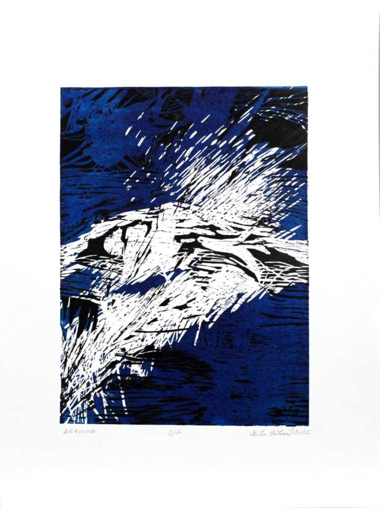 Obrázek díla Krajina od Lenka Čočková