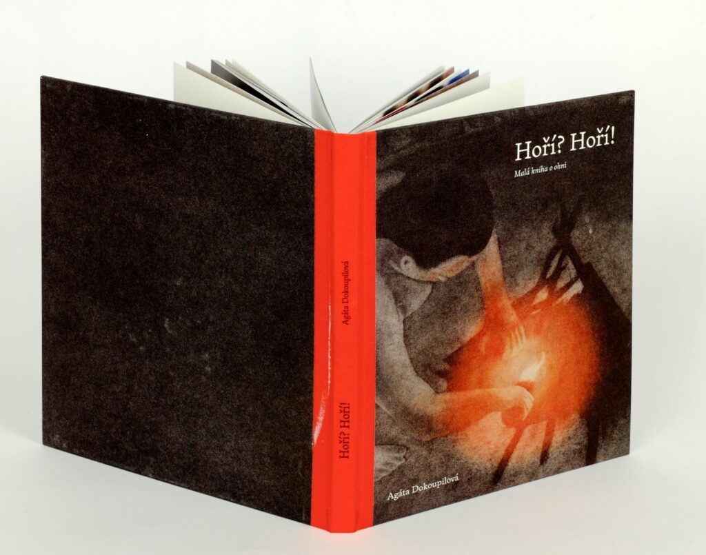 Obrázek díla Hoří? Hoří! od Agáta Dokoupilová