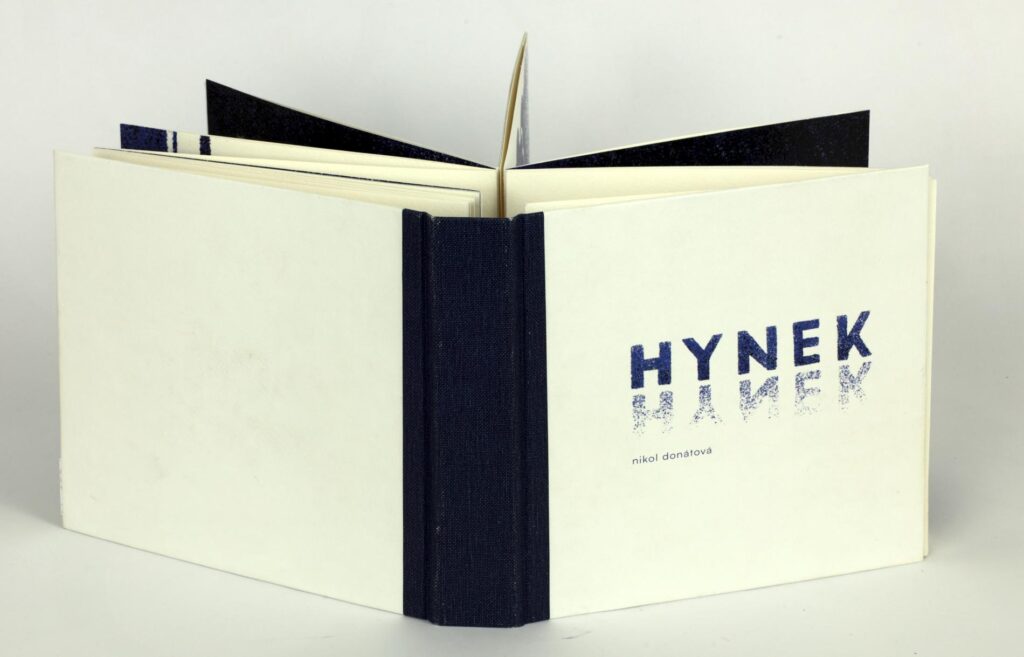 Obrázek díla Hynek od Nikol Donátová