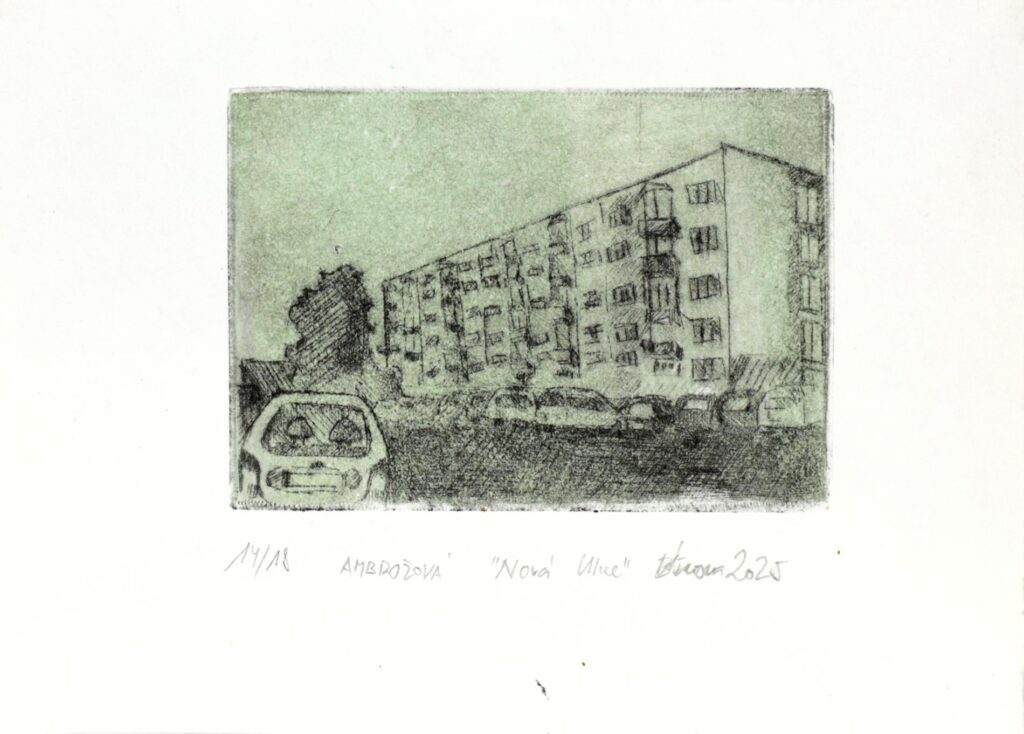 Obrázek díla Nová ulice od Stanislava Ambrožová