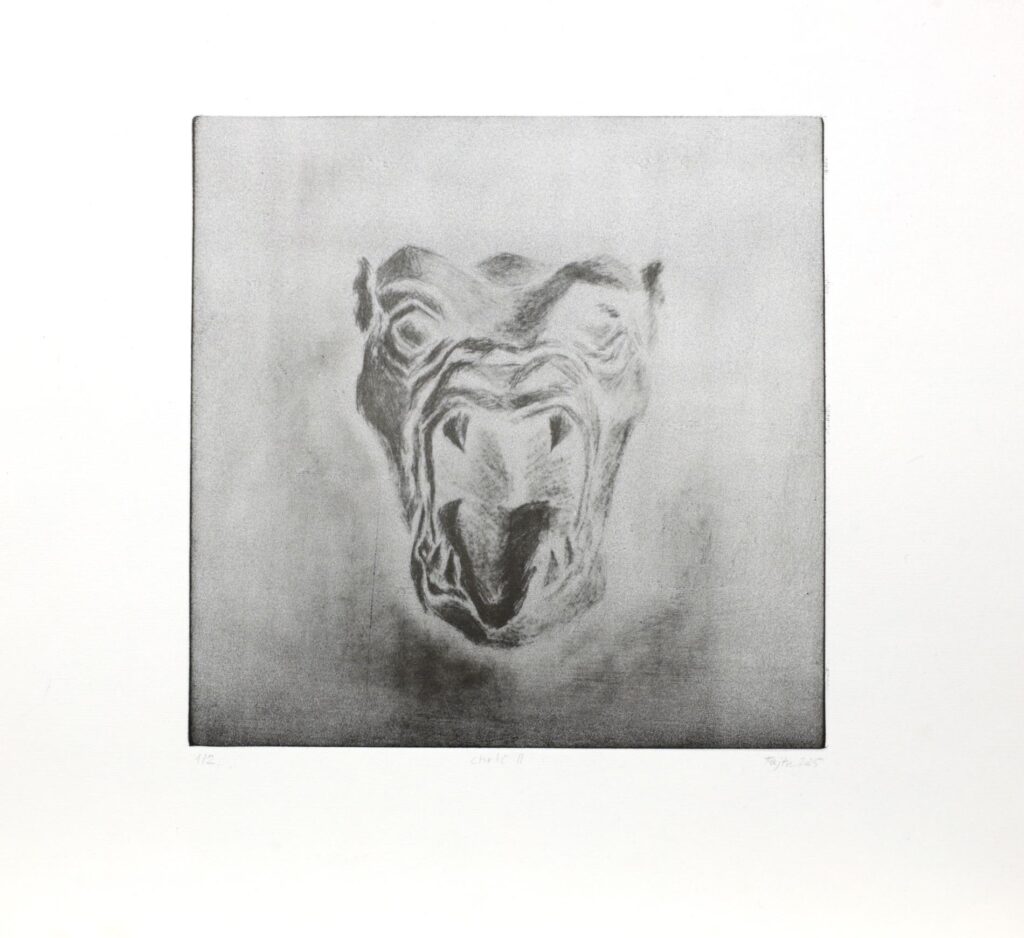 Obrázek díla Chrlič II od Adéla Fajtová